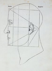 A cabeça humana, ilustração para &39;Divina Proportione&39; por Luca Pacioli (1445-1517), 1509 de Leonardo da Vinci