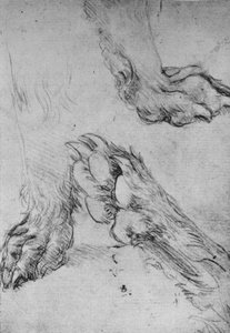 Três estudos das patas de um cão ou lobo, c1480 1945 de Leonardo da Vinci