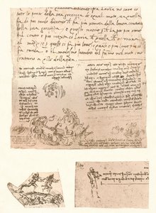 Três desenhos, c1472-c1519 1883 de Leonardo da Vinci