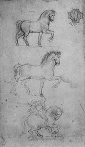 Dois estudos de um cavalo e um de um cavalo e cavaleiro, c1480 1945 de Leonardo da Vinci