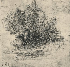 Duas árvores na margem de um riacho, c1480 1945 de Leonardo da Vinci