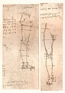 Dois desenhos ilustrando a teoria das proporções da figura humana, c1472-c1519 1883 de Leonardo da Vinci