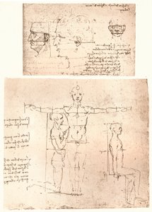 Dois desenhos ilustrando a teoria das proporções da figura humana, c1472-c1519 1883. de Leonardo da Vinci