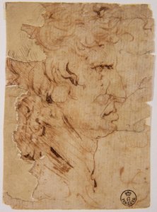Imagem desconhecida de Leonardo da Vinci