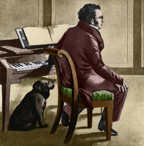 Retrato do compositor austríaco Franz Schubert