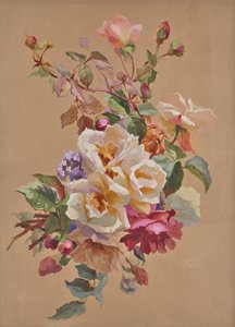 Rosas e miosótis