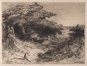 Quissett, Condado de Barnstable, Massachusetts, 1879. de Leroy Milton Yale