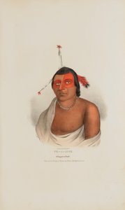 PE-A-JICK; Um chefe Chippewa, de The Aboriginal Portfolio de Lewis, James Otto