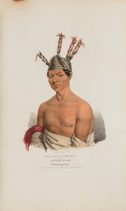 WAA-KAUN-SEE-KAA ou a Serpente de Chocalho; Um Chefe Winnebago, de The Aboriginal Portfolio de Lewis, James Otto