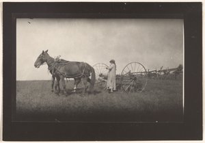 [Farm Scene, Massachusetts] de Lewis W. Hine