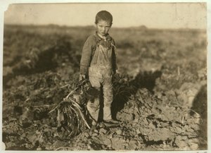 6 anos de idade, Jo puxando beterraba em uma fazenda perto de Sterling, Colorado, 1915 de Lewis Wickes Hine