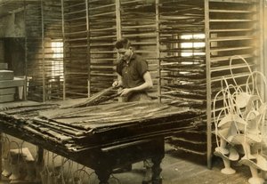 Um rapaz de 15 anos seleciona folhas de cycas na Boston Floral Supply Company de Lewis Wickes Hine