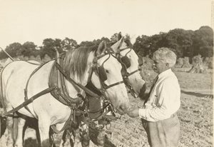 Sem título, ca. 1935. de Lewis Wickes Hine