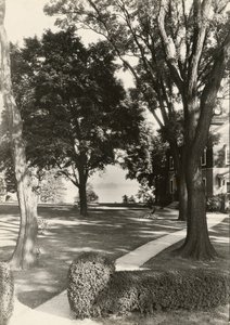 Sem título, ca. 1935. de Lewis Wickes Hine