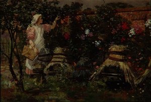 Colméias de Meninas e Abelhas de Lexden L. Pocock