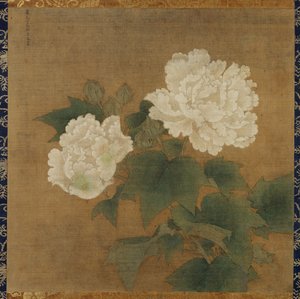 Hibiscos brancos de Li Di