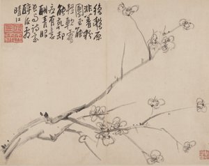 Álbum de ameixa em flor, 1742. de Li Fangying