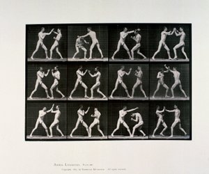 Boxe de atletas masculinos nus, c 1872-1885 de Unbekannt Unbekannt