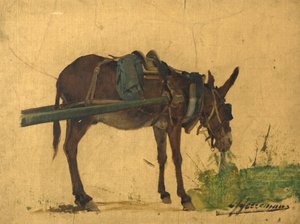Estudo de uma mula (óleo sobre tela) de Lievan Herremans