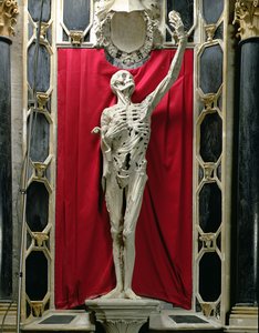 Esfolado, ou o esqueleto, o túmulo de René de Chalon, Príncipe de Orange, c.1544