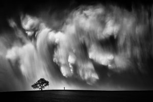 Céu dramático e árvore solitária de Like He