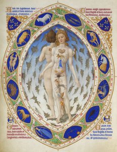 Très Riches Heures du Duc de Berry: Homem Anatómico
