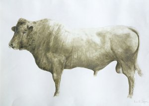 Islay Bull, 2004 (acrílico sobre tela)