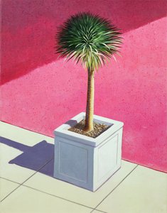 Palma pequena, 1995 (acrílico sobre tela) de Lincoln Seligman