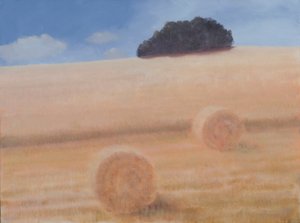 Dois fardos de feno, 2012 (acrílico sobre tela)