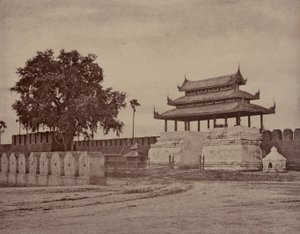 Amerapoora: Ooh-nein Portão da Cidade de Linnaeus Tripe
