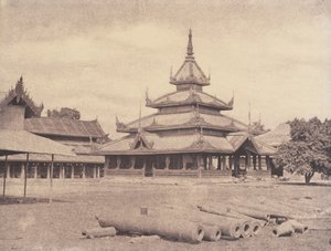 Amerapoora: Palácio do Elefante Branco de Linnaeus Tripe