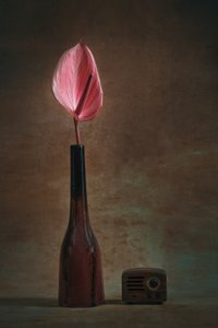  de Liu Xing
