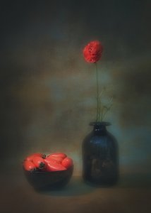  de Liu Xing