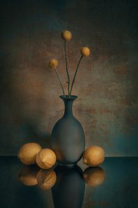  de Liu Xing