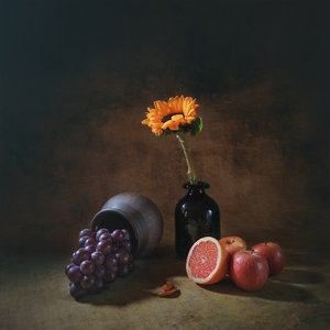  de Liu Xing