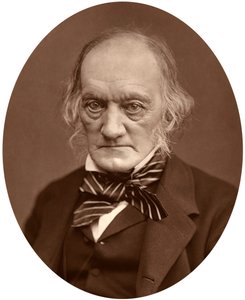 Richard Owen, 1878. de Lock and Whitfield