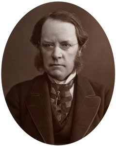 Direito Hon Lyon Playfair, CB, LLD, FRS, químico e político escocês, 1877. de Lock and Whitfield