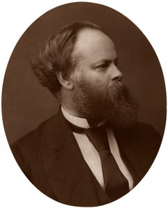 Samuel Plimsoll, Esq, MP, político liberal britânico e reformador social, 1876. de Lock and Whitfield