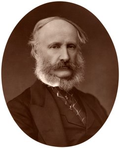 Sir James Macnaghten Hogg, Bart, MP, KCB, Presidente do Conselho Metropolitano de Obras, 1876. de Lock and Whitfield