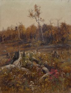 Paisagem