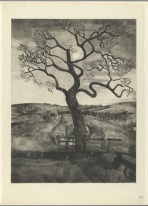 Cavalo em um prado perto de Etikhove Vieux cheval en repos (título original) de Lodewijk Schelfhout (signed by artist)