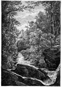 Riacho de montanha com rochas e cascata no meio de uma floresta. Desenho de Leon Benett gravado por Meaulle para a edição Hetzel do livro de Elysee (Elisee) Reclus (1830-1905) "Histoire d