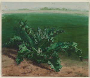 Estudo de uma planta, possivelmente cardo de Léon Bonvin