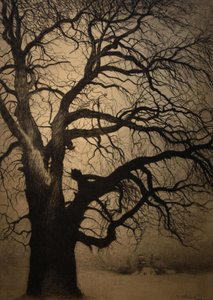 Léon Spilliaert (1881-1946) Árvore no inverno Brafa 2019 31-01-2019 de Leon Spilliaert