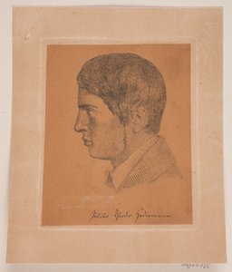 Júlio Theodor Hedermann