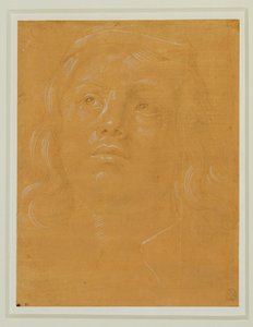 Retrato de um jovem, de rosto inteiro, olhando para cima ... de Lorenzo di Credi