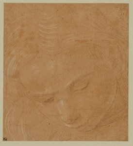 Retrato de um jovem, olhando para baixo ... de Lorenzo di Credi