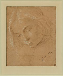 Retrato de um jovem, perfil a três quartos, inclinado para a frente ... de Lorenzo di Credi