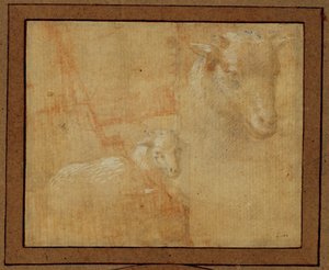 Estudo de um cordeiro. Bico de prata, lavagem cinzenta sobre papel rosa pálido ... de Lorenzo di Credi