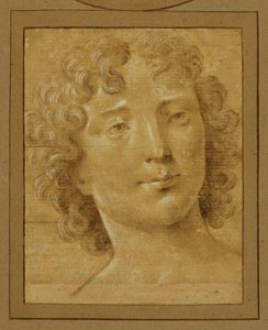 Estudo de um homem com cabelo comprido e encaracolado ... de Lorenzo di Credi
